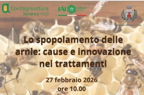 Lo spopolamento delle arnie: a Novara il 27 febbraio il convegno di Confagricoltura e FAI