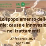 Lo spopolamento delle arnie: a Novara il 27 febbraio il convegno di Confagricoltura e FAI