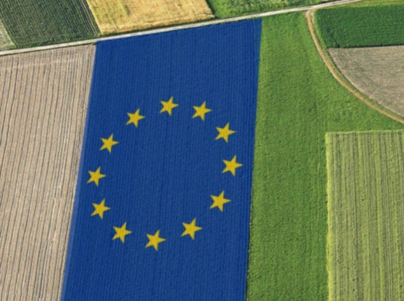 Confagricoltura: Giansanti, investimenti UE per la competitività separati da PAC e FSC