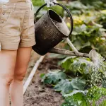Come ridurre l’impatto ambientale del giardinaggio: pratiche sostenibili per il verde domestico