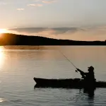 Acquacoltura e pesca, a Roma il confronto per rilanciare il prodotto ittico italiano