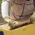 DL Bollette, via libera all’emendamento su biogas e biomasse: sostegno alle imprese agricole