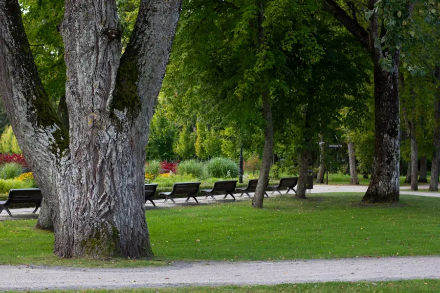 Parco Otto Marzo a Verona Sud: un’ex area asfaltata diventa spazio verde urbano