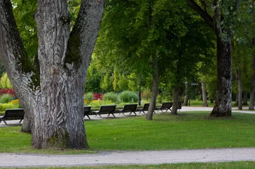 Parco Otto Marzo a Verona Sud: un’ex area asfaltata diventa spazio verde urbano