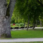 Parco Otto Marzo a Verona Sud: un’ex area asfaltata diventa spazio verde urbano