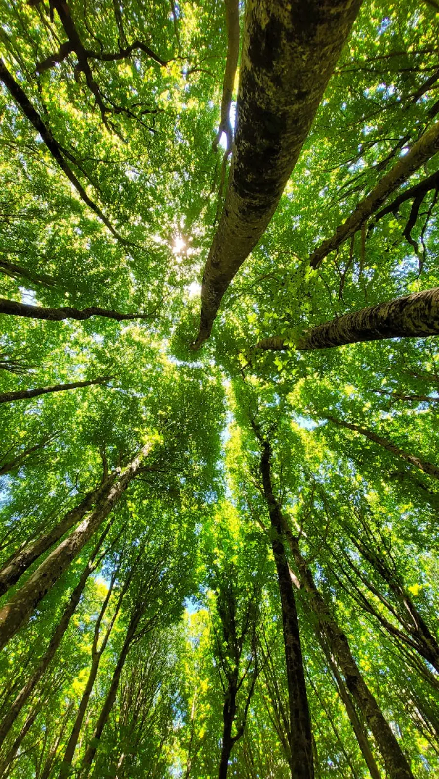 Verona, a San Massimo torna la Domenica della Sostenibilità