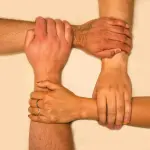Verona, al Parco della Provianda la Festa delle Associazioni