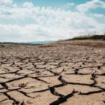 Po ai minimi a Ferrara, agricoltura in allarme per la siccità