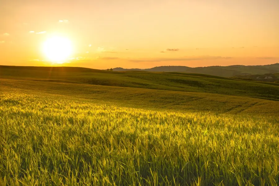 Confagricoltura a Strasburgo: mobilitazione per un accordo Mercosur equo e sostenibile