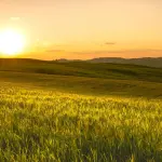 Confagricoltura a Strasburgo: mobilitazione per un accordo Mercosur equo e sostenibile