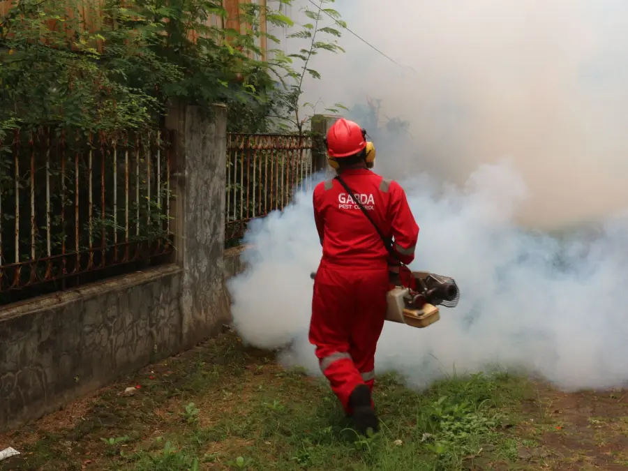 Verona, caso di Chikungunya: disinfestazione in 15 vie