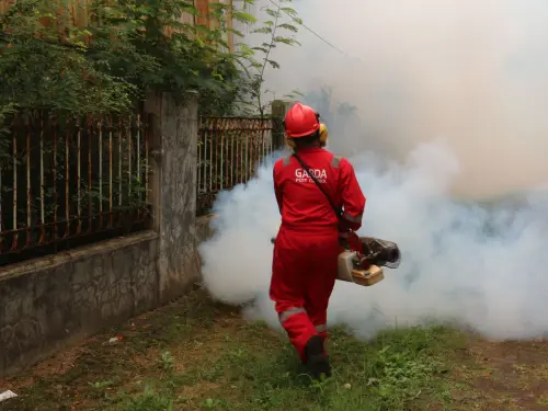 Verona, caso di Chikungunya: disinfestazione in 15 vie