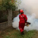 Verona, caso di Chikungunya: disinfestazione in 15 vie