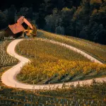 Economia, agricoltura e agroalimentare: a Fieragricola il report 2026 su Verona e Veneto